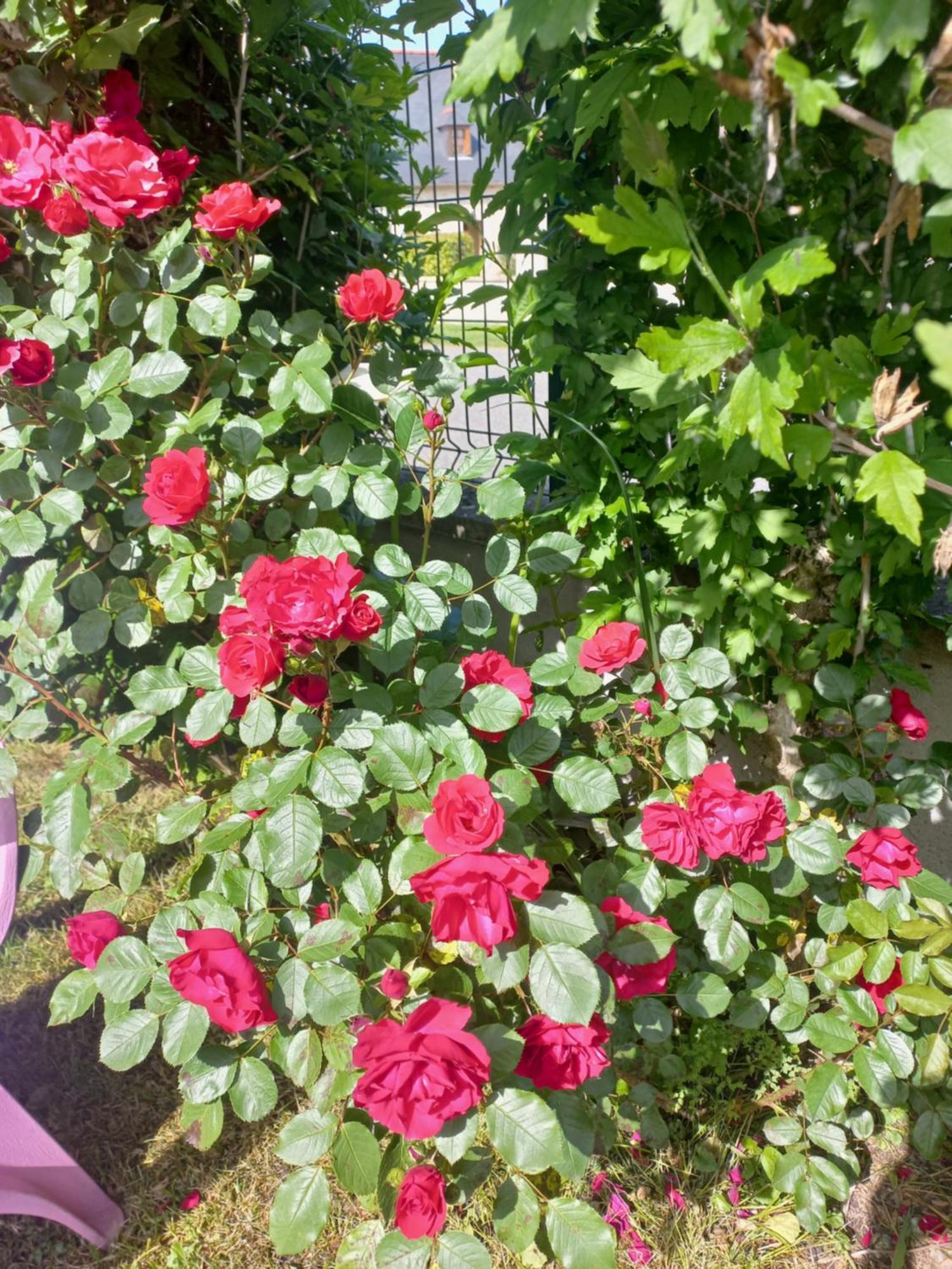 Maison Avec Jardin Adé Exteriör bild